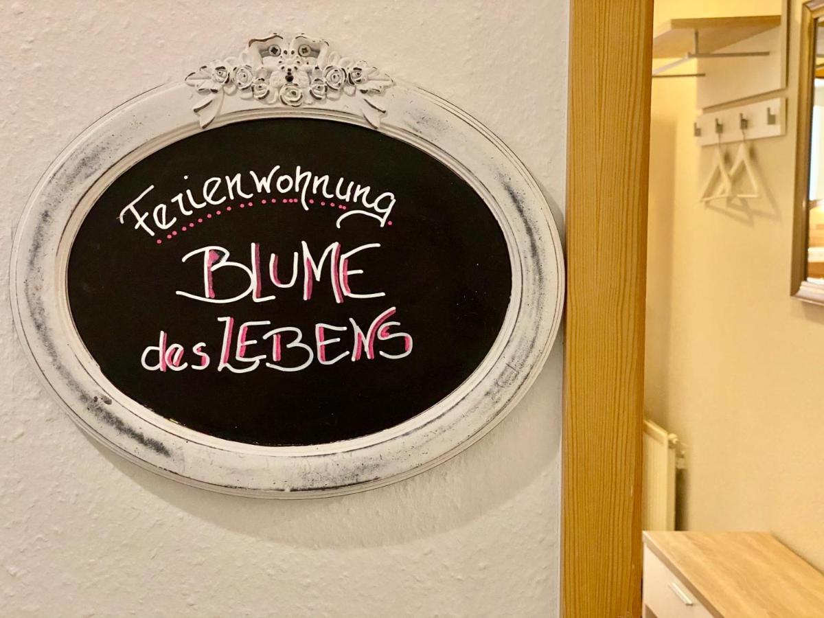 Gesundheitshof Denker Appartement Reußenköge Buitenkant foto