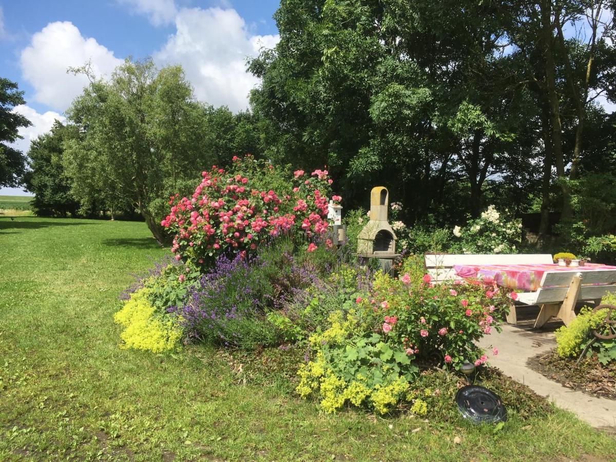 Gesundheitshof Denker Appartement Reußenköge Buitenkant foto